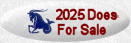 2025 Does For Sale